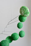 Green Caterpillar 03