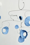Washed Blueberries 30