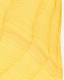 Lines 129