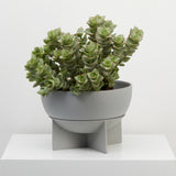 Eros Planter