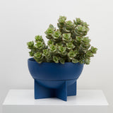 Eros Planter