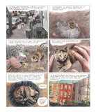 Penny: A Graphic Memoir