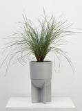 Eros Planter
