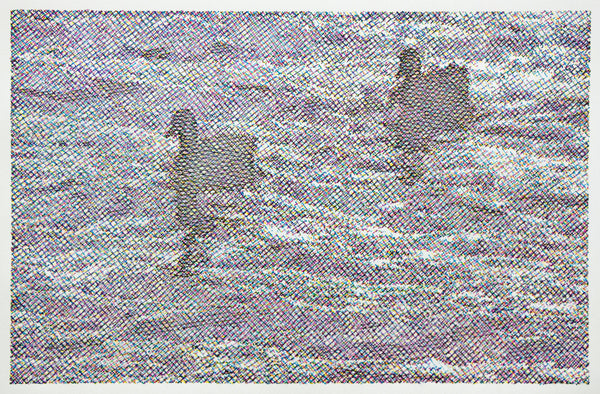 Ducks and Waves