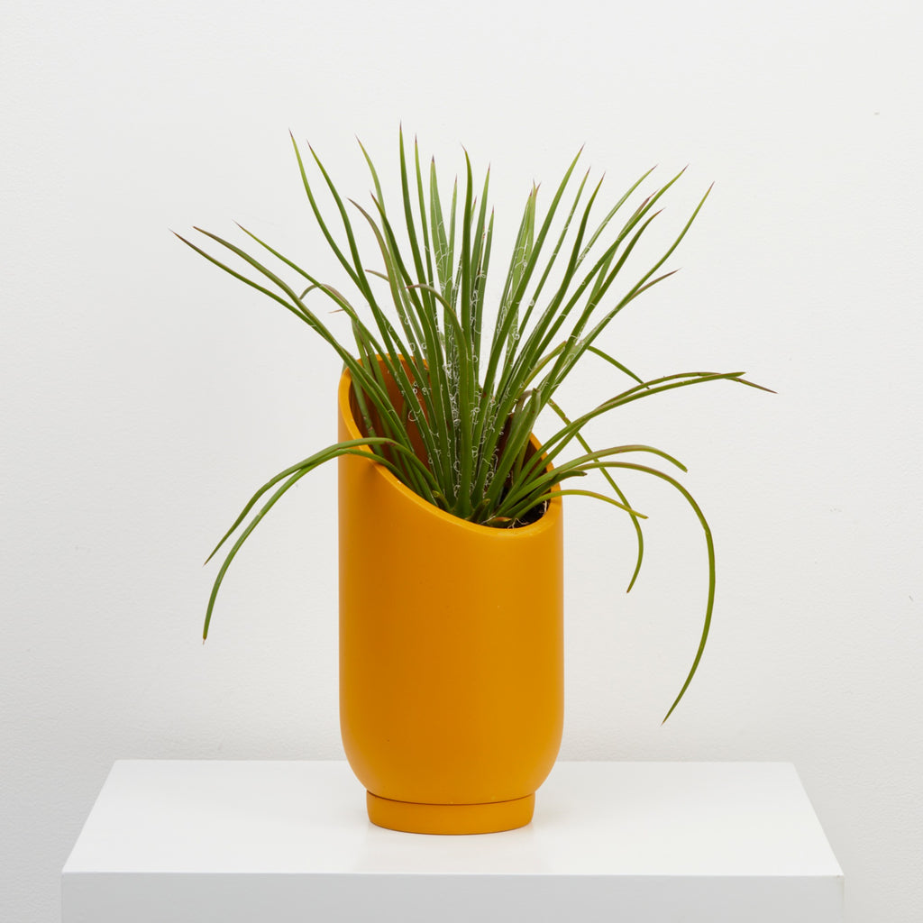 Summit Planter