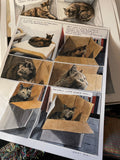 Penny: A Graphic Memoir