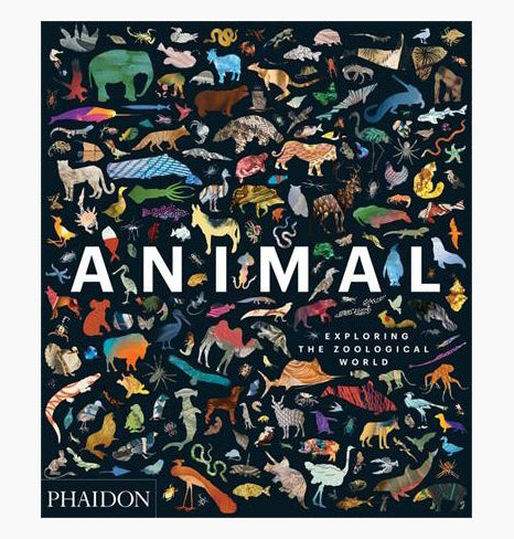 Animal: Exploring the Zoological World