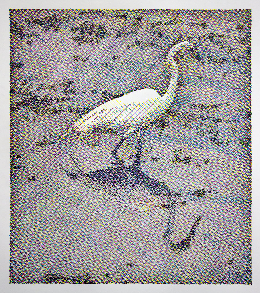 Egret
