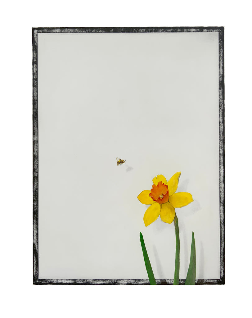 Roadside Plant Portrait (Daffodil)